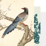 公开信息按发布时间滚动